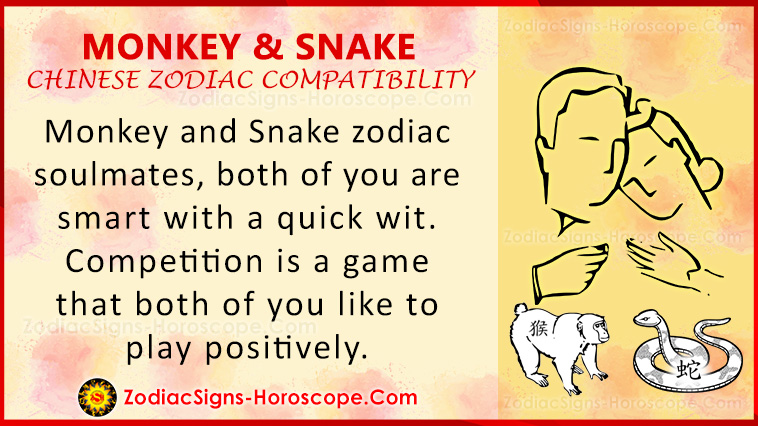 Monkey and Snake-kompatibilitet