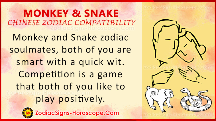 Monkey and Snake Compatibility