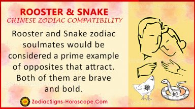 Rooster and Snake Compatibility: Zodiac Traits and Love Compatibility