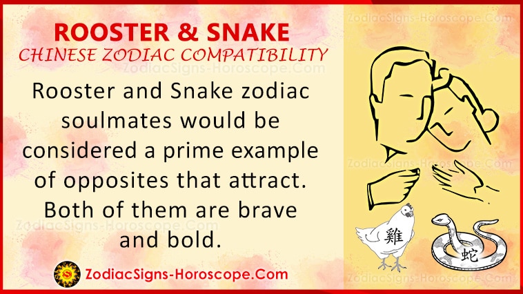 Rooster and Snake Compatibility