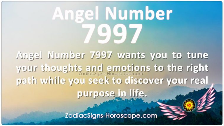 Значението на ангелското число 7997