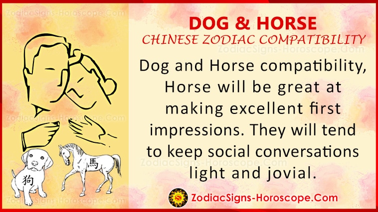Ljubavna kompatibilnost pasa i konja