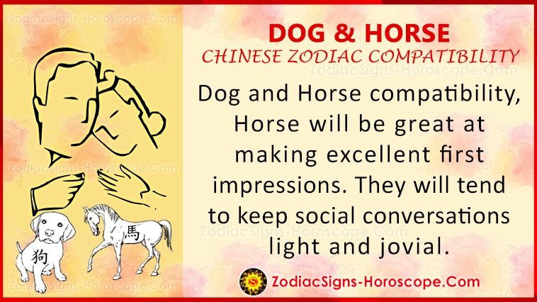 Dog and Horse Love Compatibility