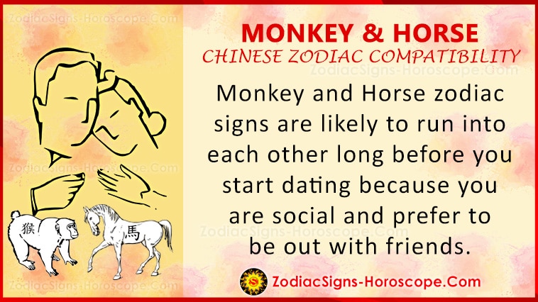Compatibilidade de macaco e cavalo