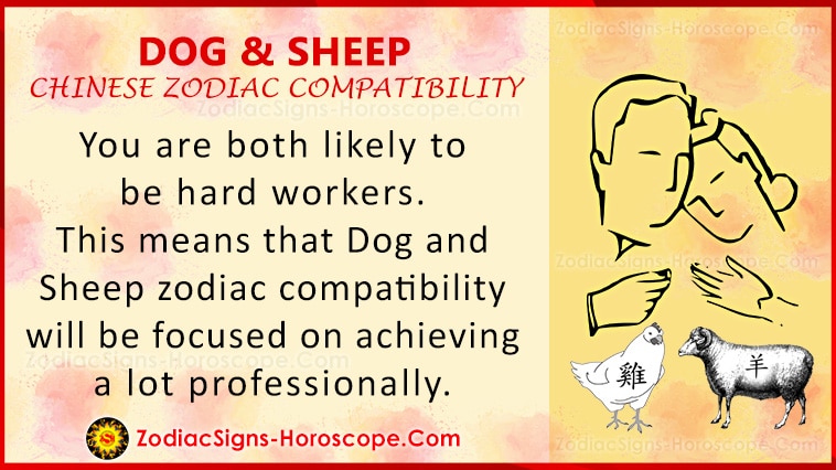 Kutya és bárány szerelmi kompatibilitás