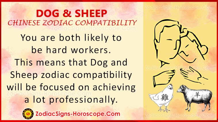 Dog and Sheep Love Compatibility