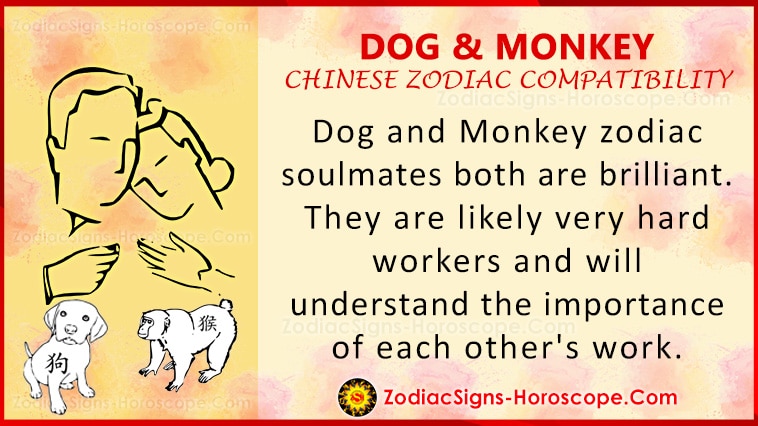 Dog and Monkey Love Compatibility