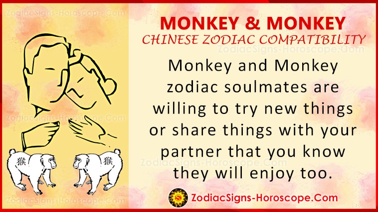 Monkey and Monkey Compatibility