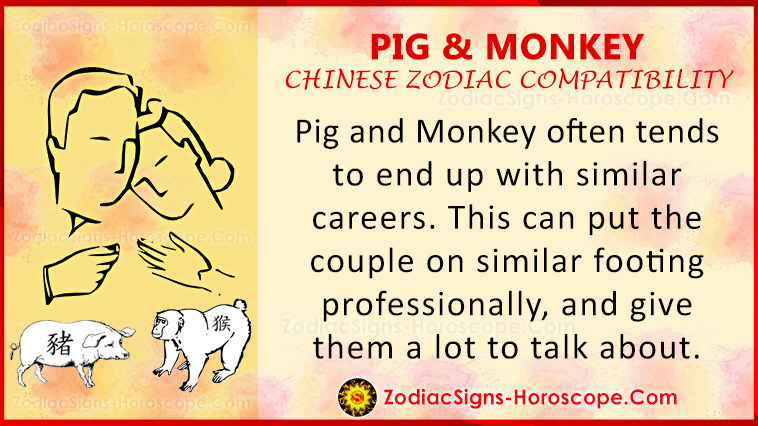 豬和猴的愛情兼容性