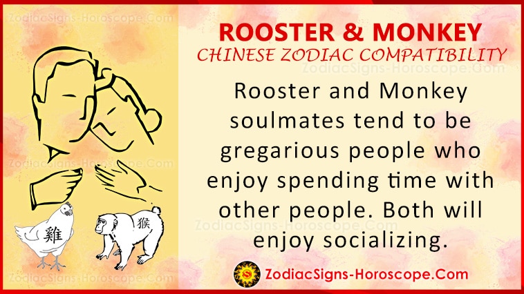 Rooster and Monkey Compatibility