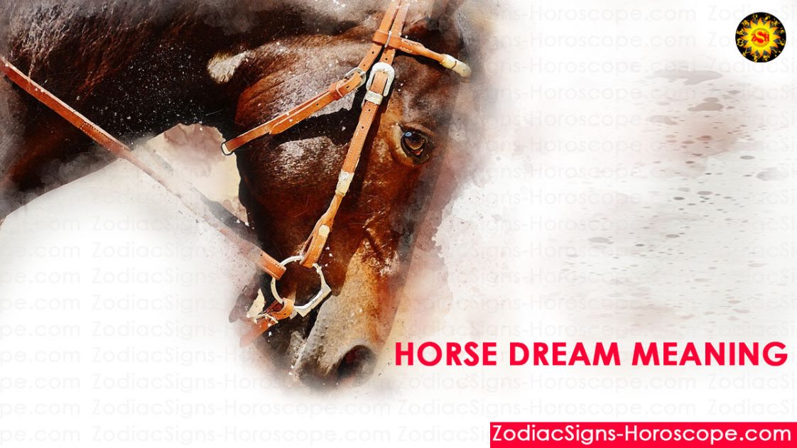 Horse Dream Meaning, Interpretation and Dream Symbolism ZSH