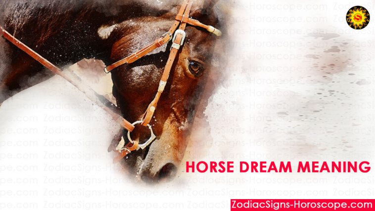 משמעות חלום סוס