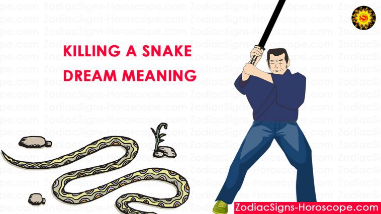 Ý nghĩa giết rắn trong giấc mơ