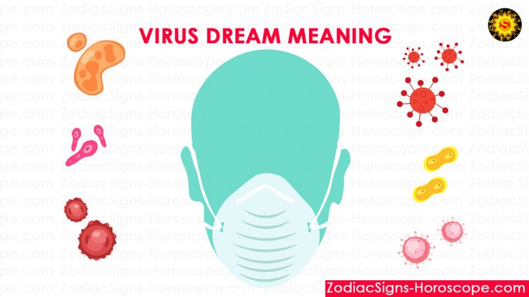 바이러스 꿈의 의미