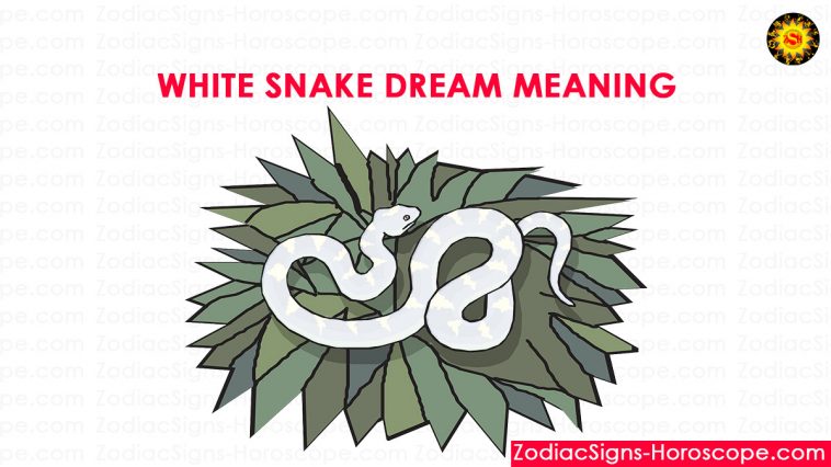 Značenje sna bijele zmije