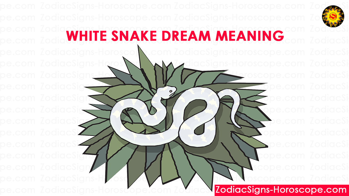 dream of seeing lots of snakes dream of seeing lots of snakes