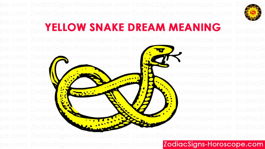 Yellow Snake Dream Meaning, Interpretation and Dream Symbolism