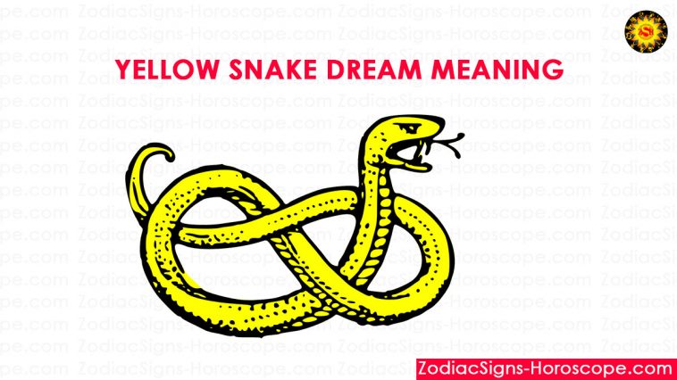 Significato del sogno del serpente giallo