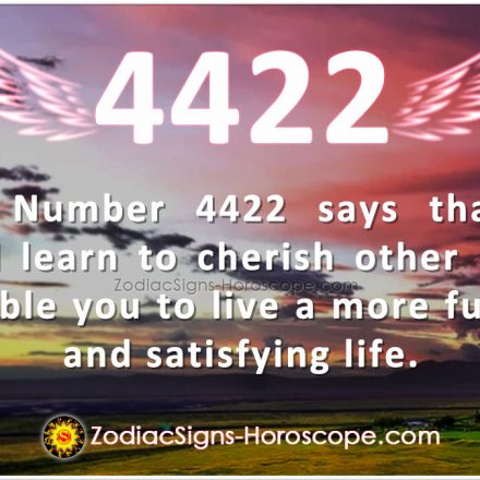 Angel Number 3993 Says Prayer is the Answer | 3993 Meaning