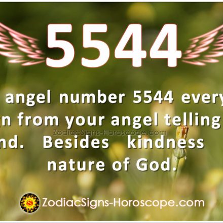 Angel Number 7676 Says Power Your Concentration | 7676 Meaning