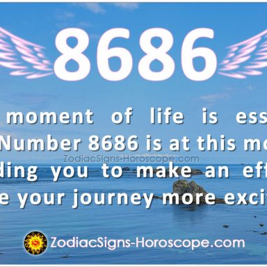 Angel Number 5665 - Invest in Things That Makes Your Soul Happy