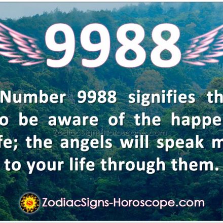 Angel Number 7557 says Flexibility is Key to Success | 7557 Meaning