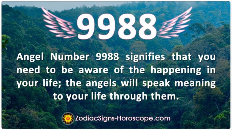 Angel Number 9988 Meaning