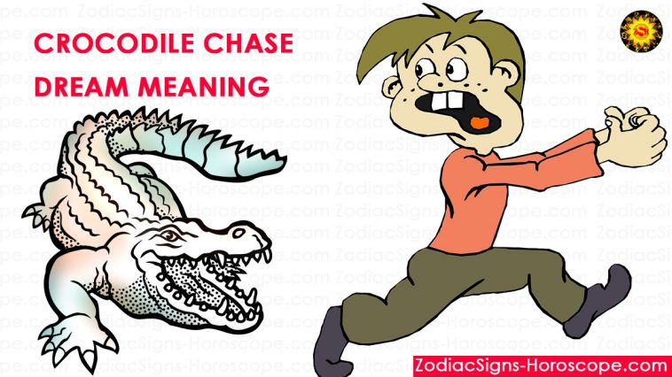 Crocodile Chase Dream Betydning