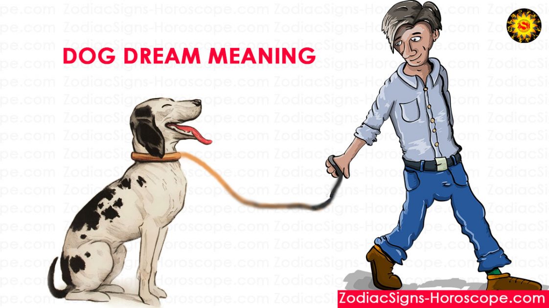 Dog Dream Meaning, Interpretation and Symbolism Dream of Dogs