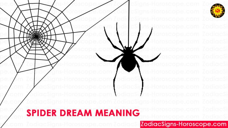 夢見蜘蛛是什麼意思
