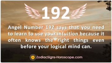 Angel Number 0000: Meaning, Spiritual Meaning and Love Significance