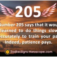 Angel Number 206 is Anticipating for Changes | 206 Meaning