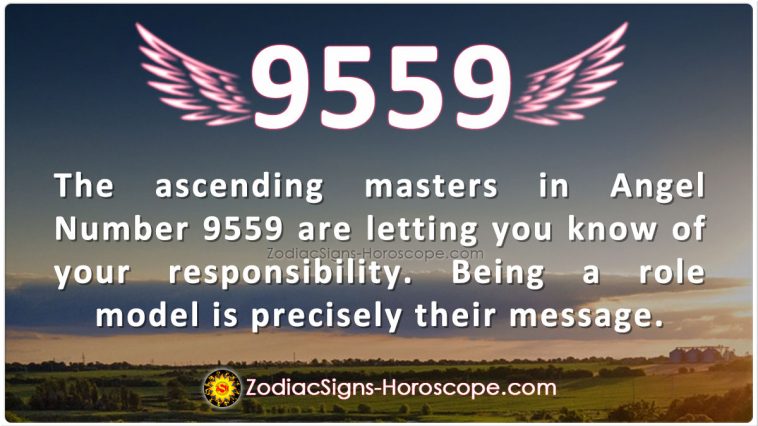 Angel Number 9559 Meaning
