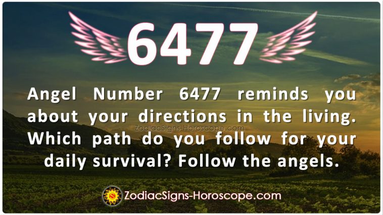 Angel Number 6477 Meaning