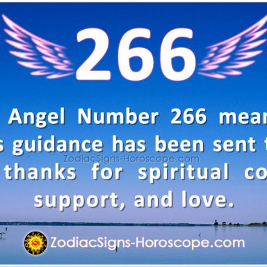 Angel Number 202 Meaning: Complete Wholeness | 202 Angel Number