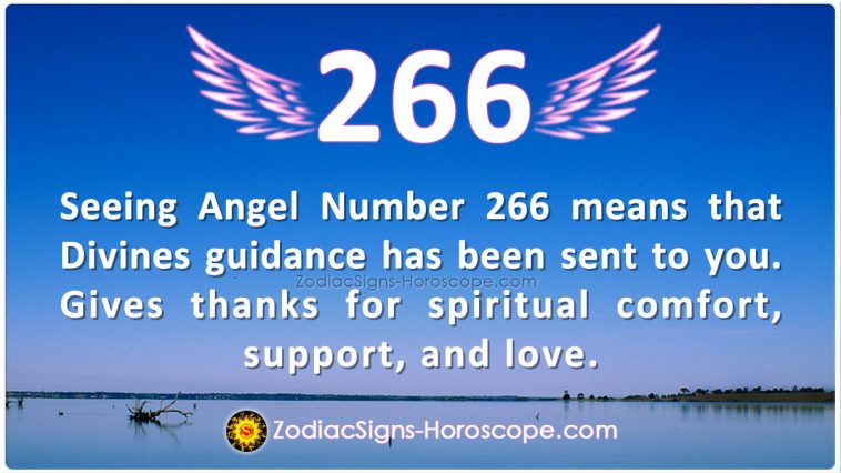 Pomen angelske številke 266