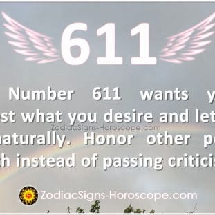 Angel Number 669 Meaning: Work On Yourself | 669 Angel Number