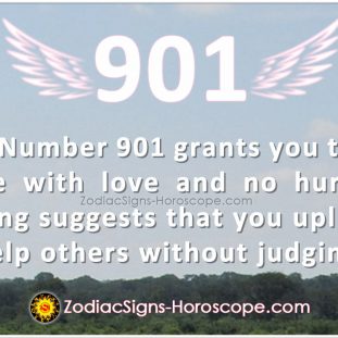 Angel Number 801 Meaning: Be Fearless | 801 Angel Number