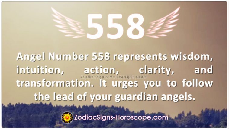 Angel Number 558 Meaning
