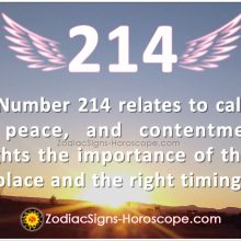 Angel Number 213 Meaning: Clear Vision | 213 Angel Number