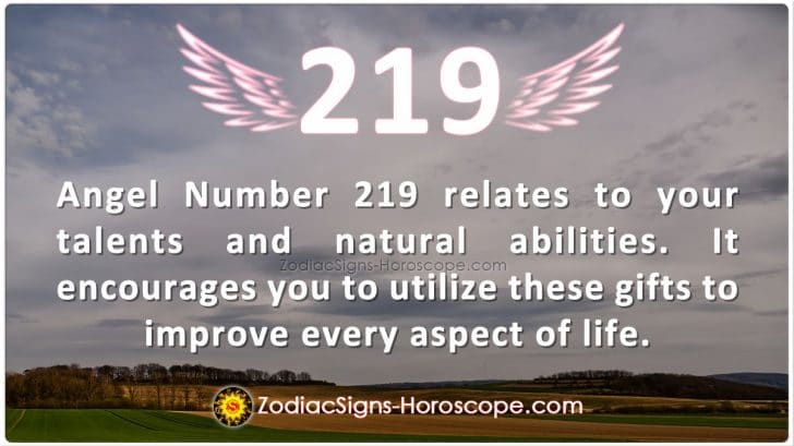 天使編號 219 含義：天才 | 219天使號