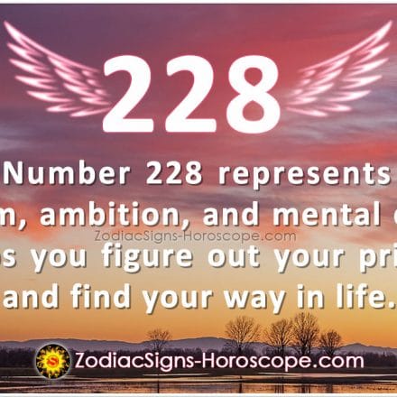 Angel Number 227 Meaning: Hope in Life | ZodiacSigns-Horoscope.com