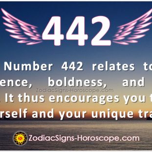 Angel Number 441 Meaning: Do It Now | 441 Angel Number