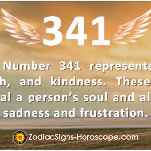 Angel Number 329 Meaning: A Wise Leader | 329 Angel Number | ZSH