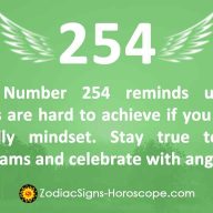 Angel Number 253 Meaning: The Road to Stability | 253 Angel Number