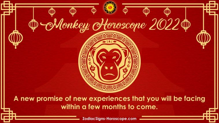 Monkey Horoscope 2022 Predictions