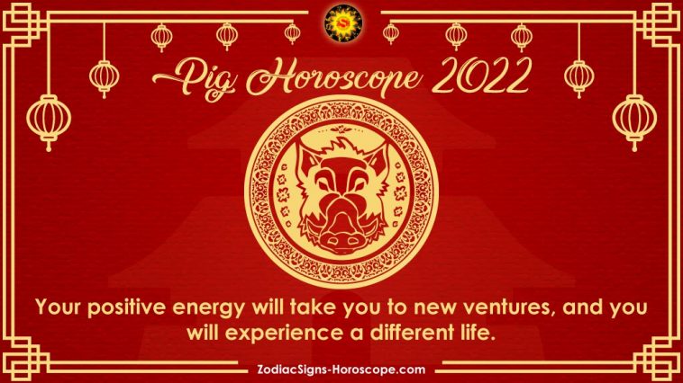 Chinese New Year 2022 Pig Forecast