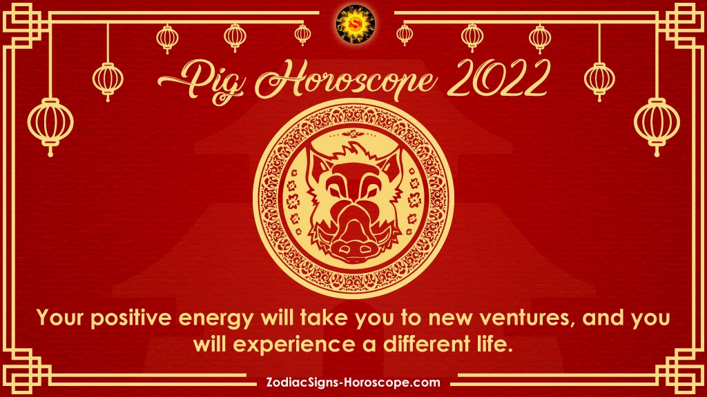 Pig Horoscope 2022 Predictions A Healthy Future
