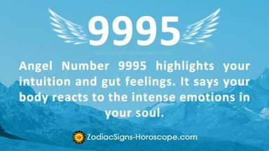 Angel Number 0000: Meaning, Spiritual Meaning and Love Significance