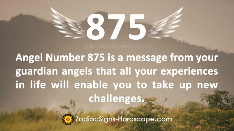 Angel Number 875 Meaning